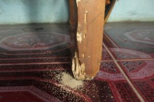 Wooden furniture damaged by termites
