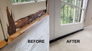 Comparison of termite-damaged and protected wooden door frame