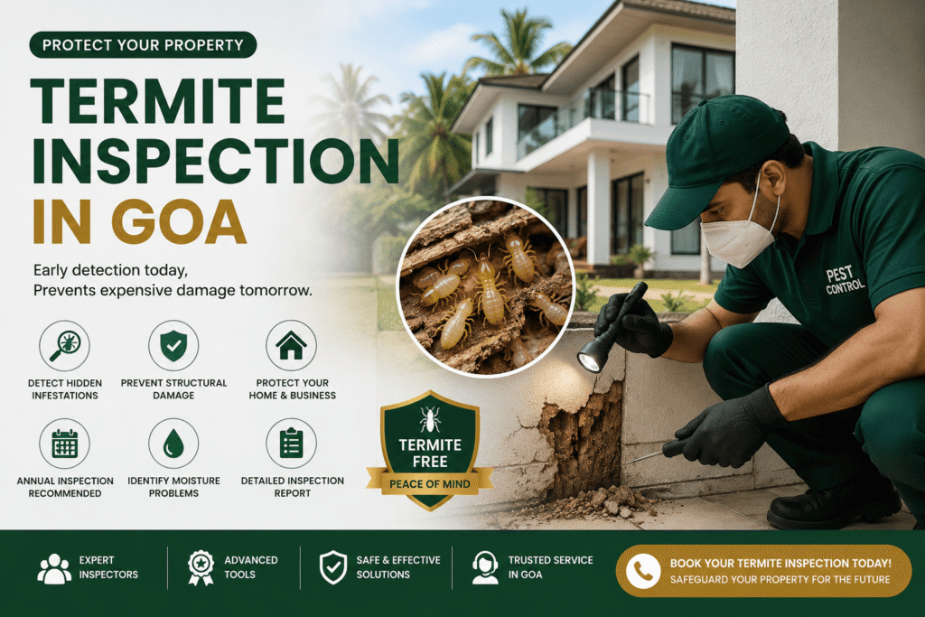 Termite Inspection in Goa: Everything You Need to Know Before It’s Too Late