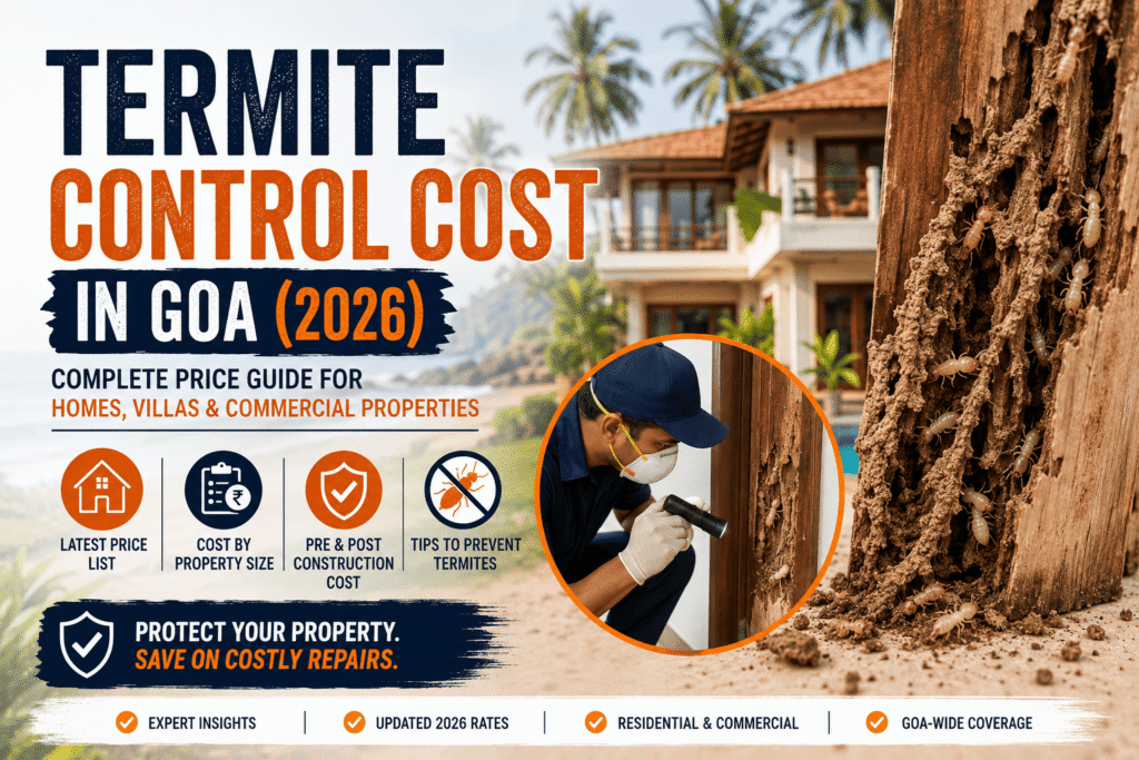 Termite Control Cost in Goa (2026): Complete Price Guide