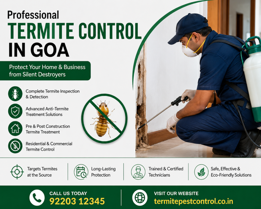 termite control in goa