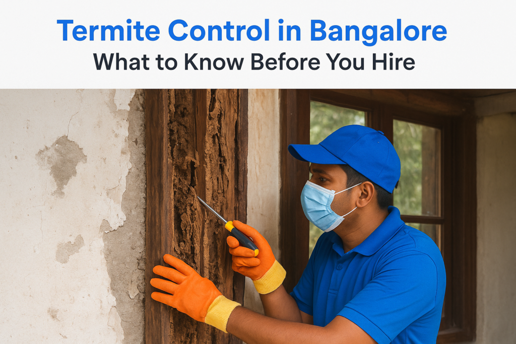 Termite Control in Bangalore: What to Know Before You Hire
